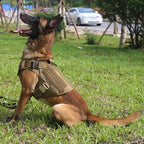 K9 Harness – Pettorina tattica per cani