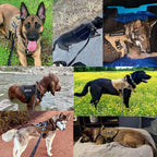 K9 Harness – Pettorina tattica per cani