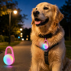 Luce LED di sicurezza ricaricabile con clip per cani per passeggiate notturne