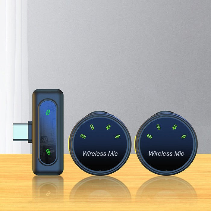 Microfono wireless professionale