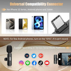 Microfono wireless professionale