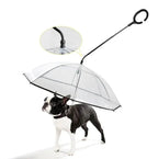 Ombrello trasparente per cani