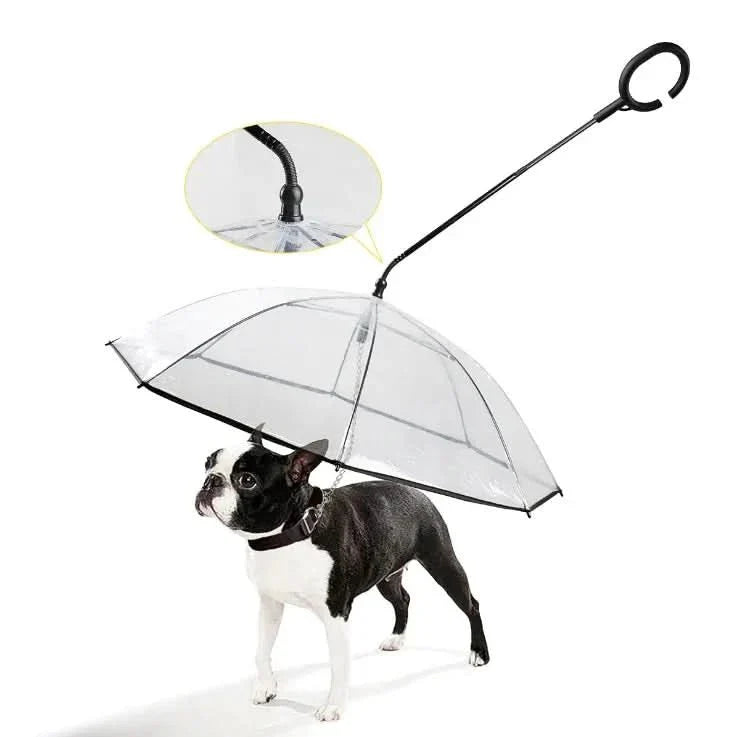 Ombrello trasparente per cani