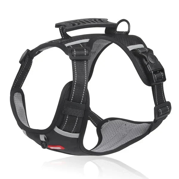 Pettorina anti-tiro WalkEase per passeggiate rilassate e postura sana