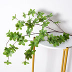 Pianta verde decorativa
