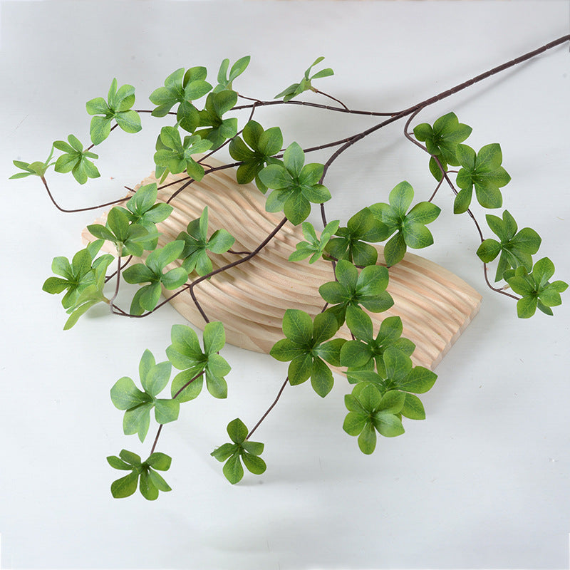 Pianta verde decorativa
