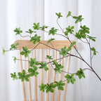 Pianta verde decorativa