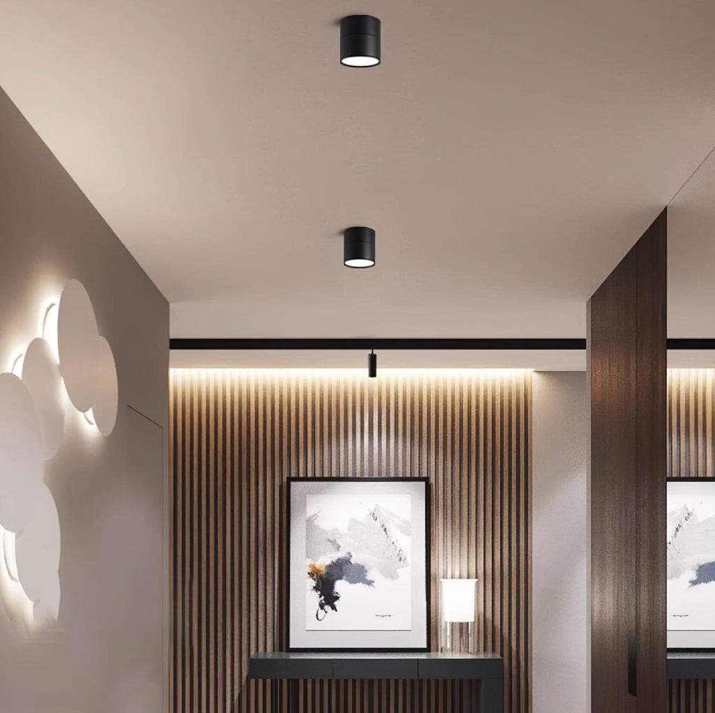 Plafoniera LED Favilla con meccanismo orientabile