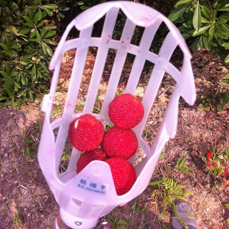 Raccogli frutta telescopico con cestello