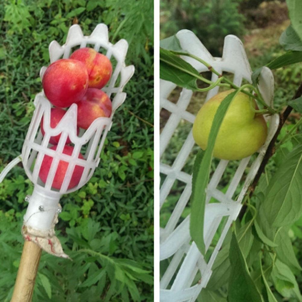 Raccogli frutta telescopico con cestello