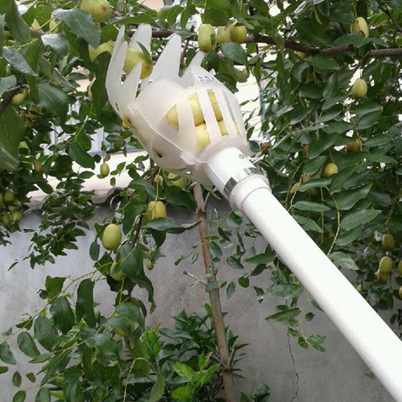 Raccogli frutta telescopico con cestello