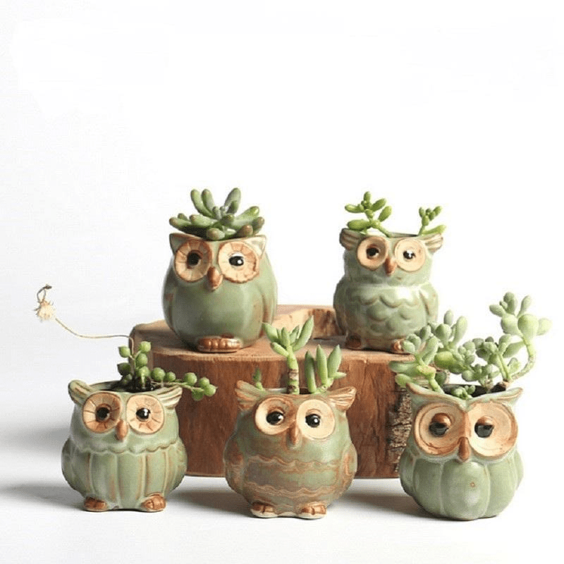 Set 5 vasi in ceramica con gufi decorativi