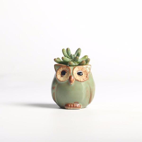 Set 5 vasi in ceramica con gufi decorativi