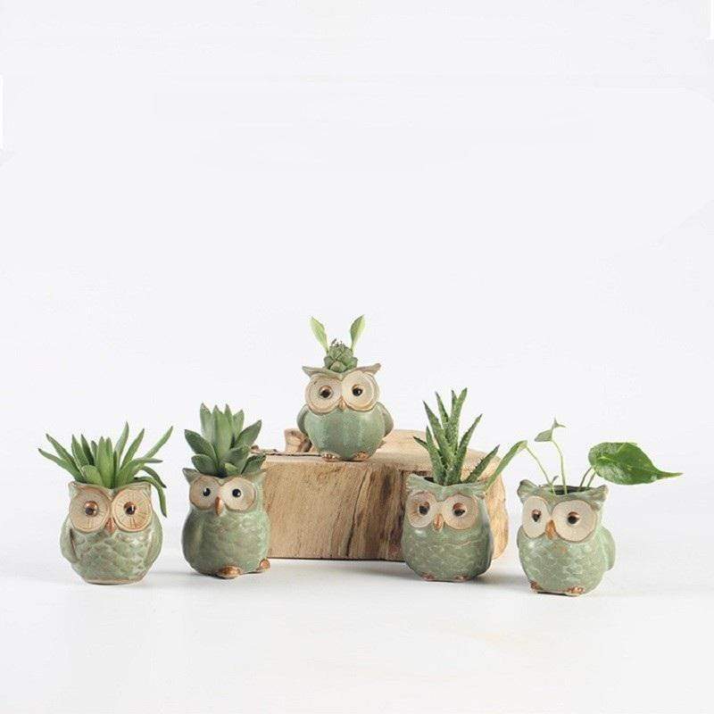 Set 5 vasi in ceramica con gufi decorativi