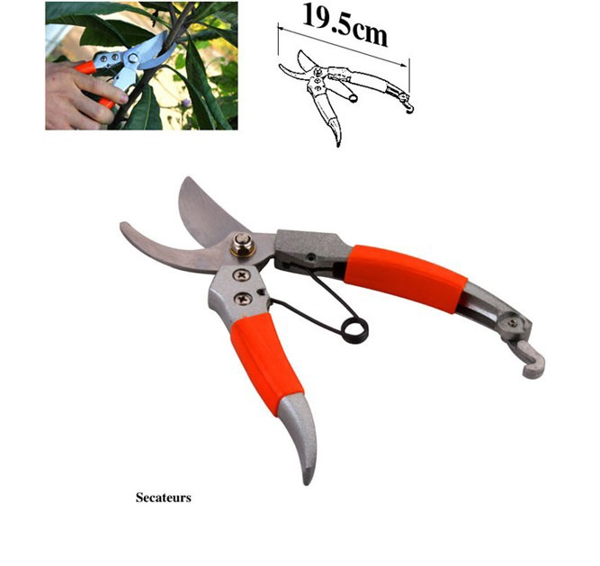 Set attrezzi da giardino con borsa – 10 pezzi per la cura del verde