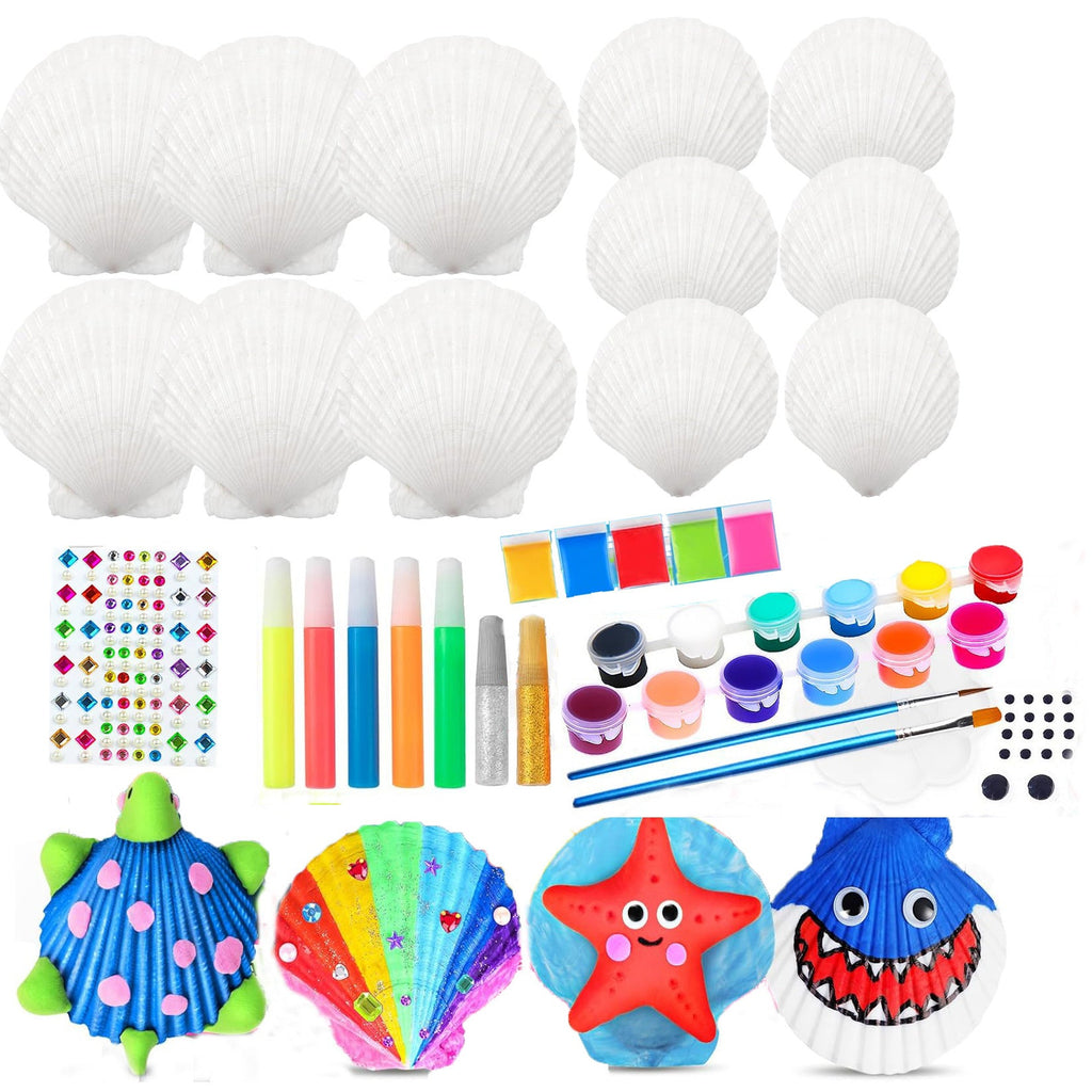 Set creativo unisex con conchiglie e colori