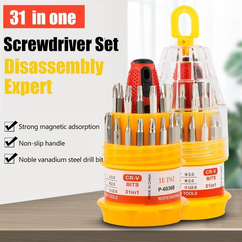 Set di cacciaviti 31 in 1