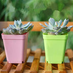 Set di mini vasi colorati Bloomigo — resistenti e ventilati per balcone e interno