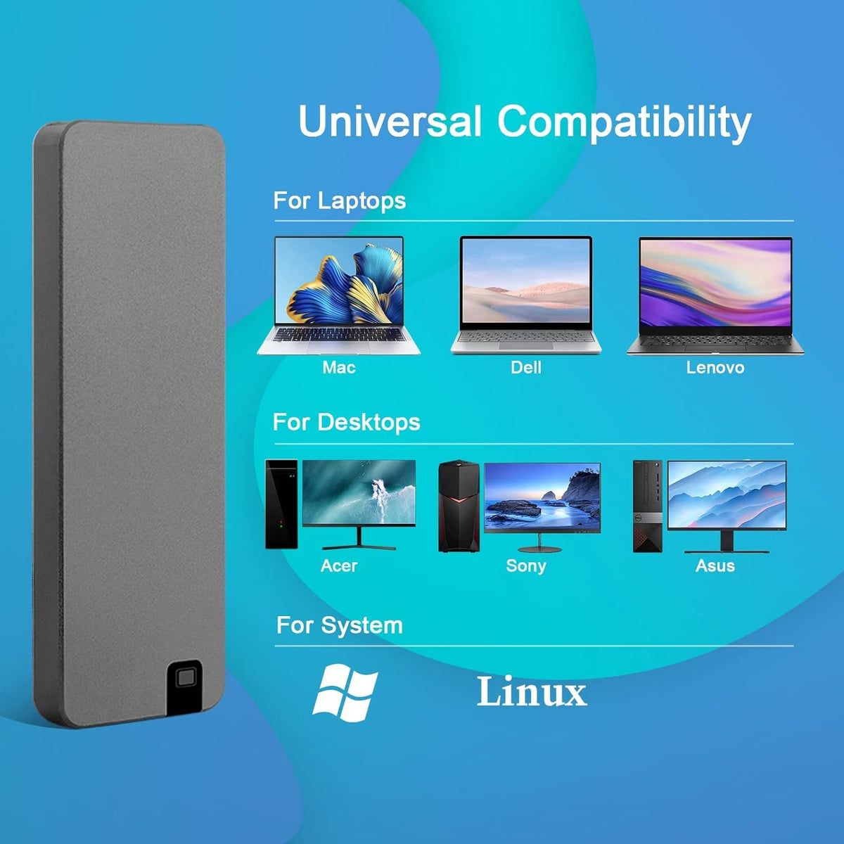 SSD portatile esterno