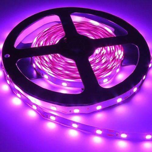 Striscia LED 3528 12V 5M 300 LED per illuminazione d'ambiente