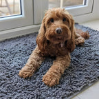 Tappetino assorbente antiscivolo per cani con zampe infangate