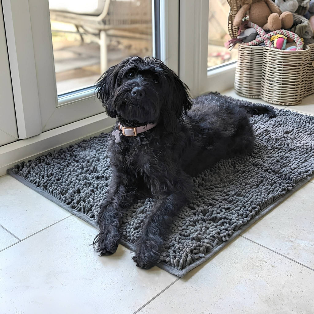 Tappetino assorbente antiscivolo per cani con zampe infangate