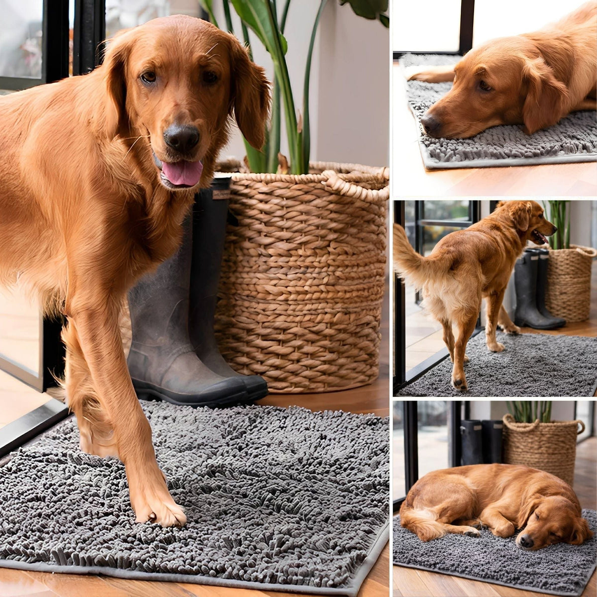 Tappetino assorbente antiscivolo per cani con zampe infangate