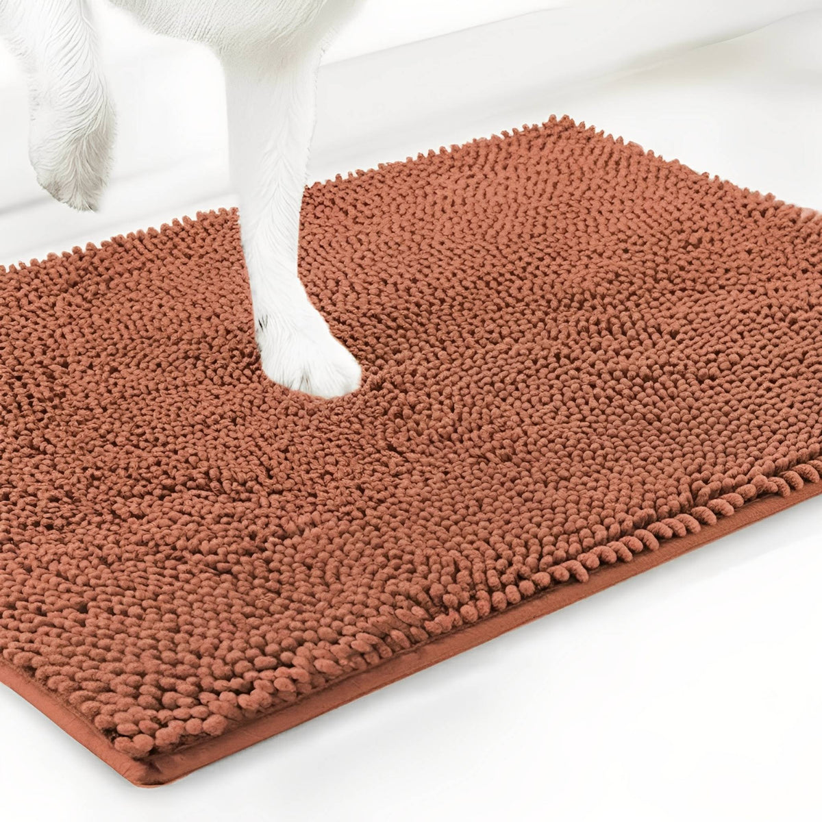 Tappetino assorbente antiscivolo per cani con zampe infangate