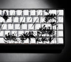 Tastiera artistica personalizzabile