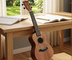 Ukulele Falivelli