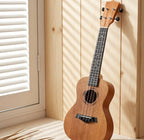 Ukulele Falivelli