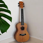 Ukulele Falivelli