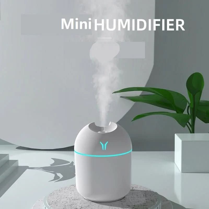 Umidificatore mini USB con funzione aromaterapia