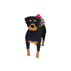Vaso a forma di cane — contenitore decorativo per piante