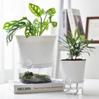 Vaso con riserva d'acqua – Vaso autoirrigante per piante da interno