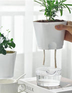 Vaso con riserva d'acqua – Vaso autoirrigante per piante da interno