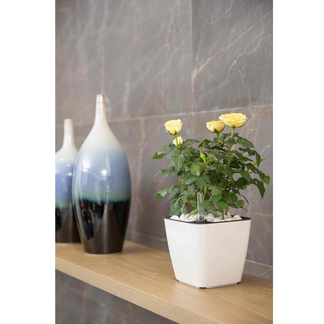 Vaso con sistema di irrigazione automatica per piante da interno ed esterno