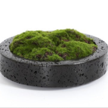 Vaso decorativo con muschio per la casa