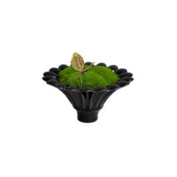 Vaso decorativo con muschio per la casa