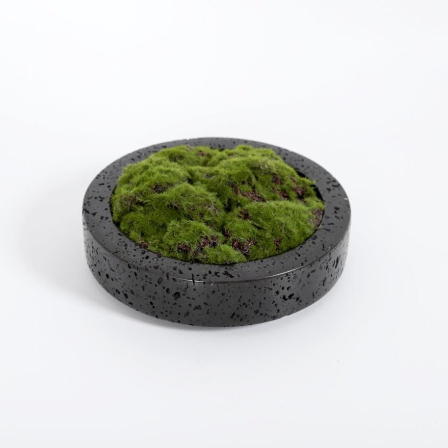 Vaso decorativo con muschio per la casa