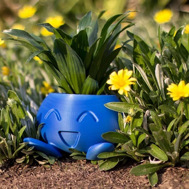 Vaso per piante in ceramica con faccina per piante piccole