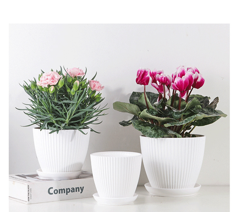 Vaso per piante con struttura scanalata e sottovaso – Vaso in plastica resistente