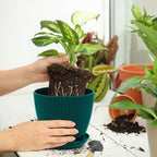 Vaso per piante con struttura scanalata e sottovaso – Vaso in plastica resistente