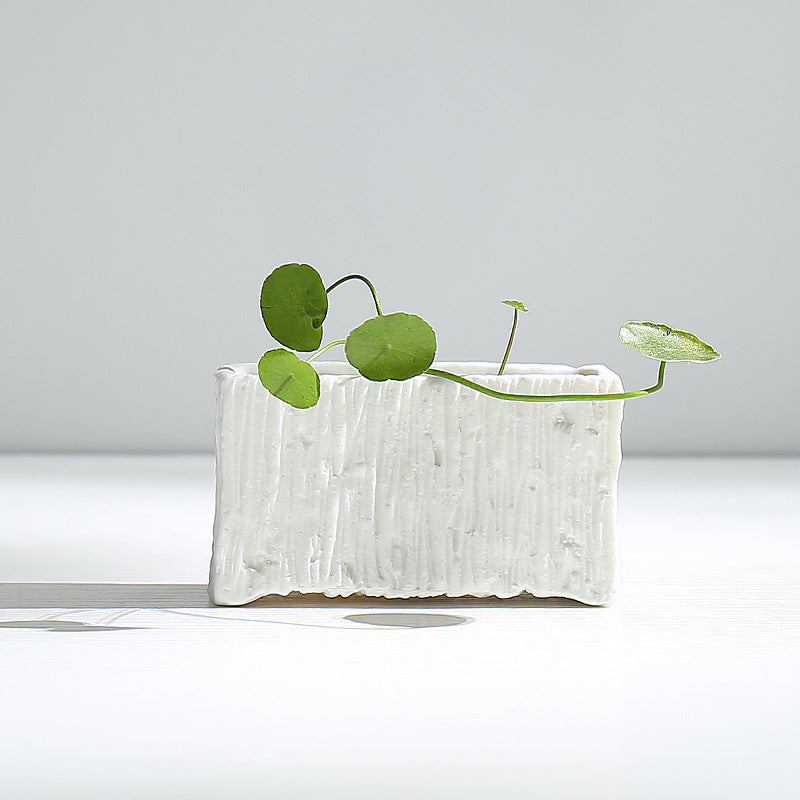 Vaso portapiante in ceramica moderna con texture