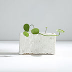 Vaso portapiante in ceramica moderna con texture