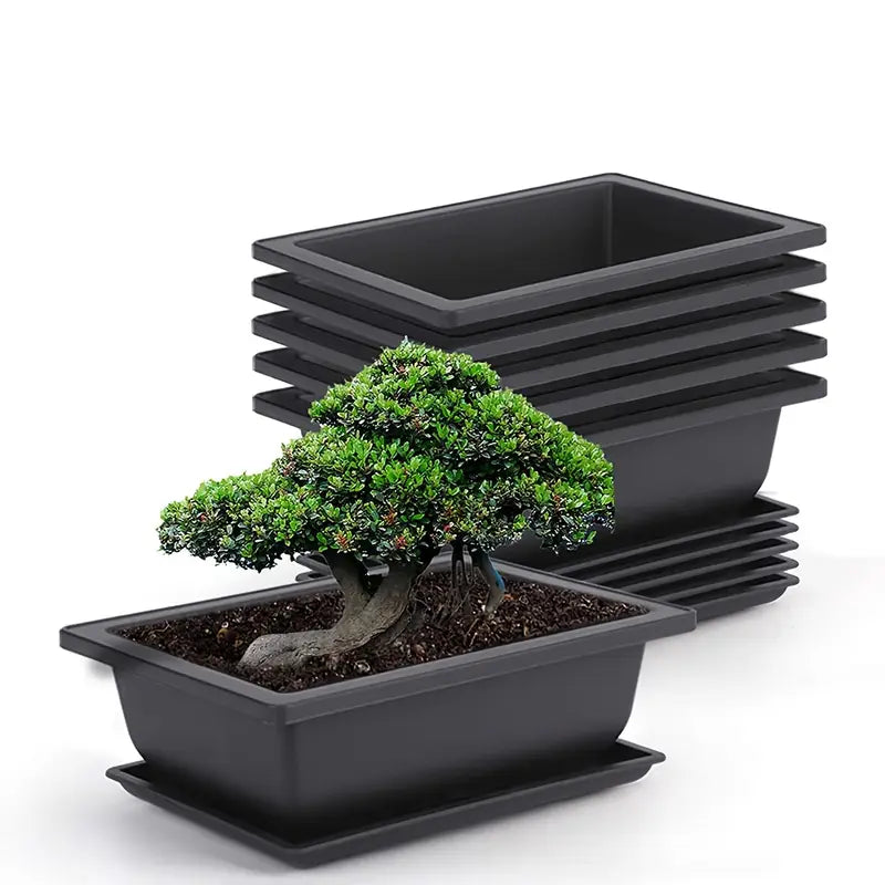 Vaso rettangolare con sottovaso per piante da giardino e balcone