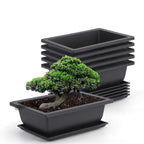 Vaso rettangolare con sottovaso per piante da giardino e balcone
