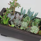 Vaso rettangolare con sottovaso per piante da giardino e balcone