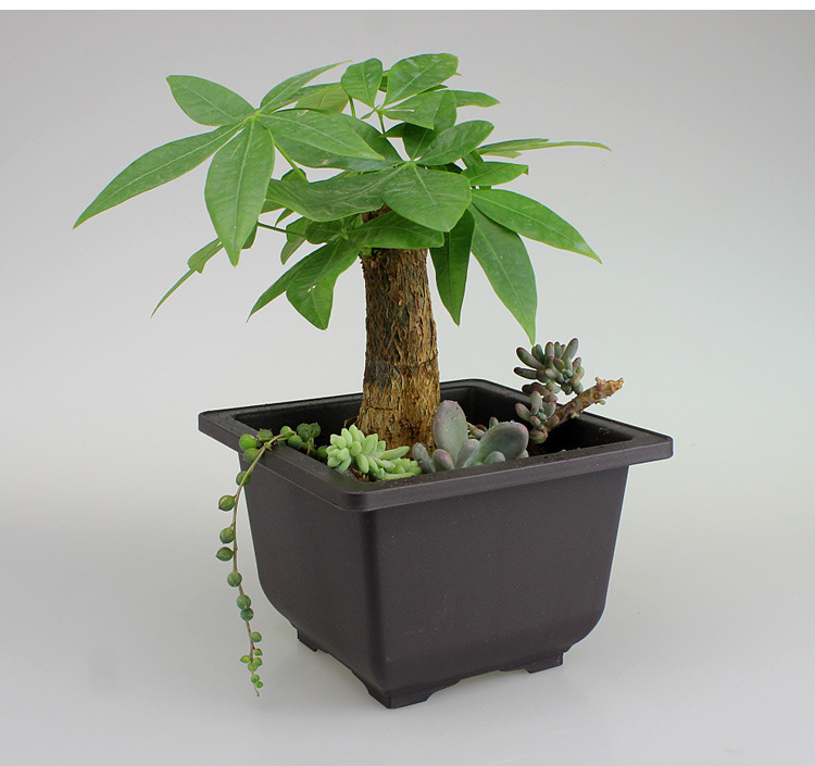 Vaso rettangolare con sottovaso per piante da giardino e balcone
