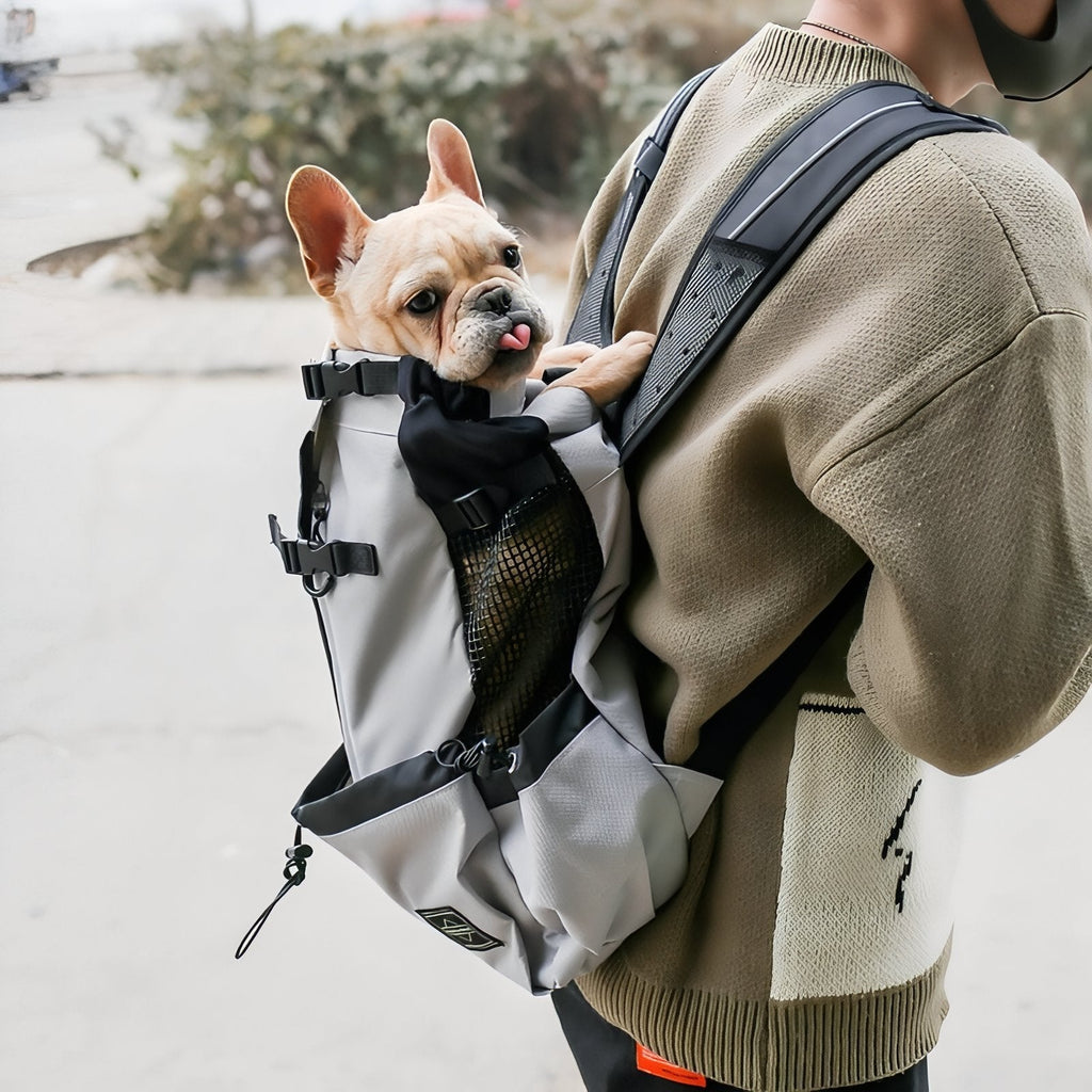 Chiusure di sicurezza zaino trasporto cani per avventure